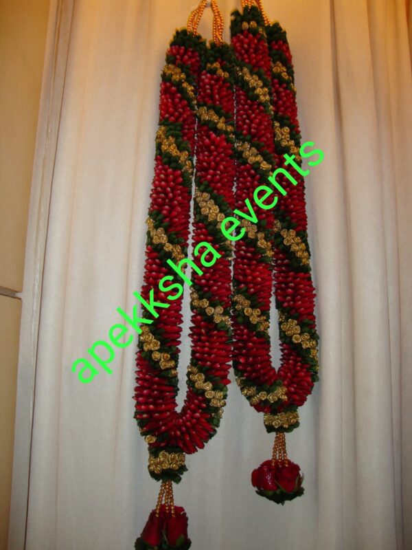 Budbudke Golden Star Setup  - Image 2