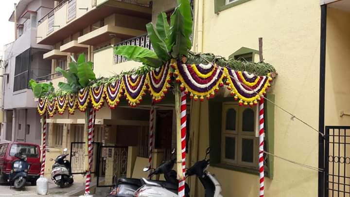 Chapra 18*8ft