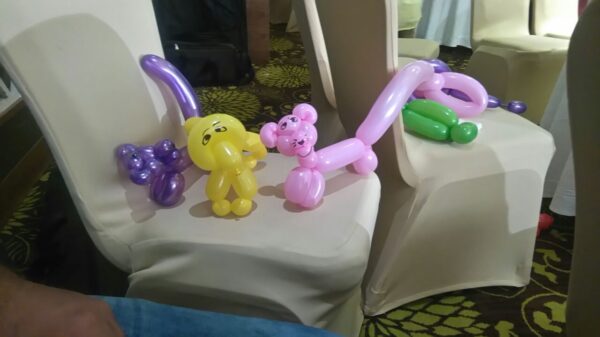 Balloon Modelling package for Events - Image 2