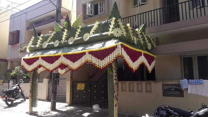 Grand Step Chapra 8*15ft